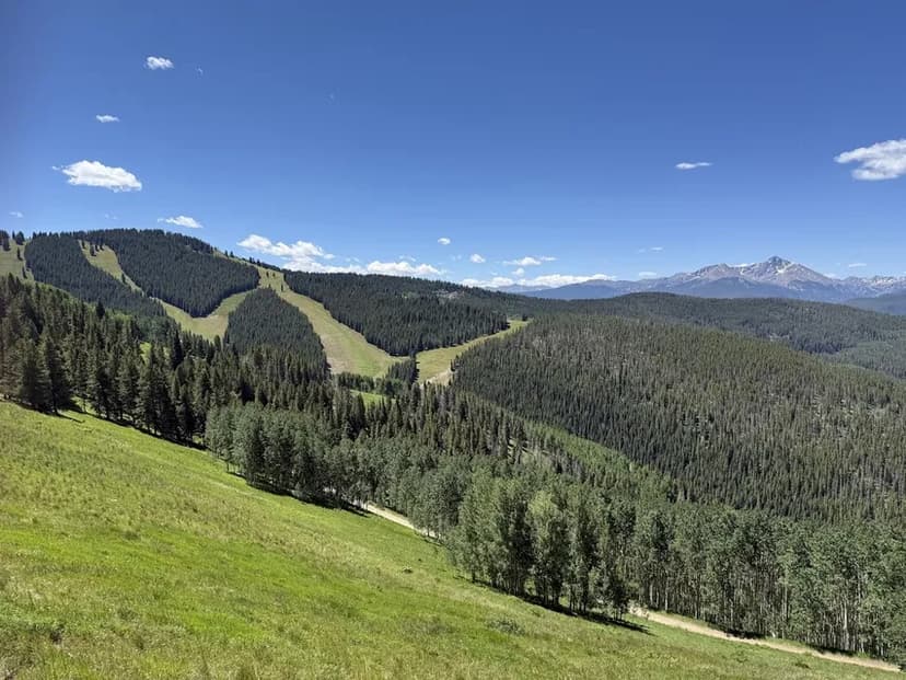 Vail vs. Steamboat: Terrain, Snow, Towns, Passes and Prices Compared
