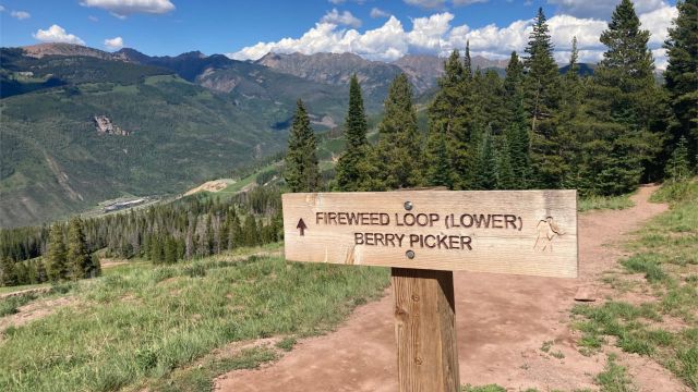 Berry Picker Trail sign at a trailhead on Vail Mountain