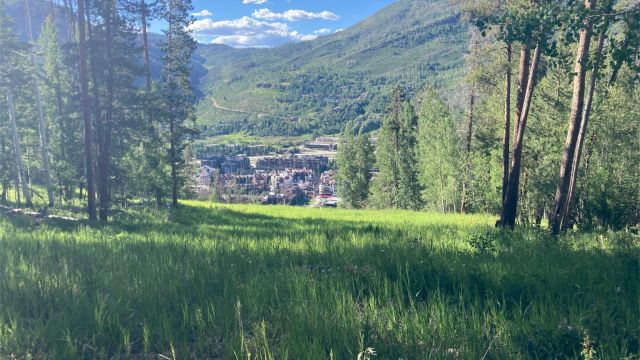 View over Lionshead Village from the Berry Picker Trail