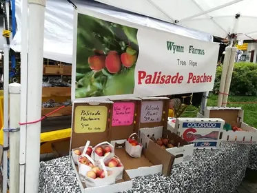 Vail Farmers Market Photos