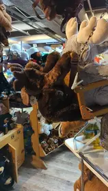 Lionshead General Store Photos