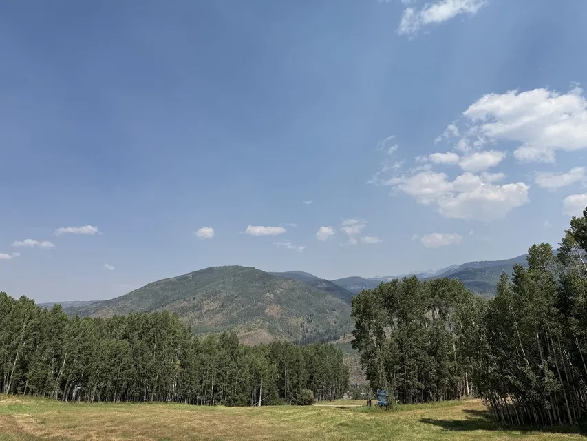 Berrypicker Trail