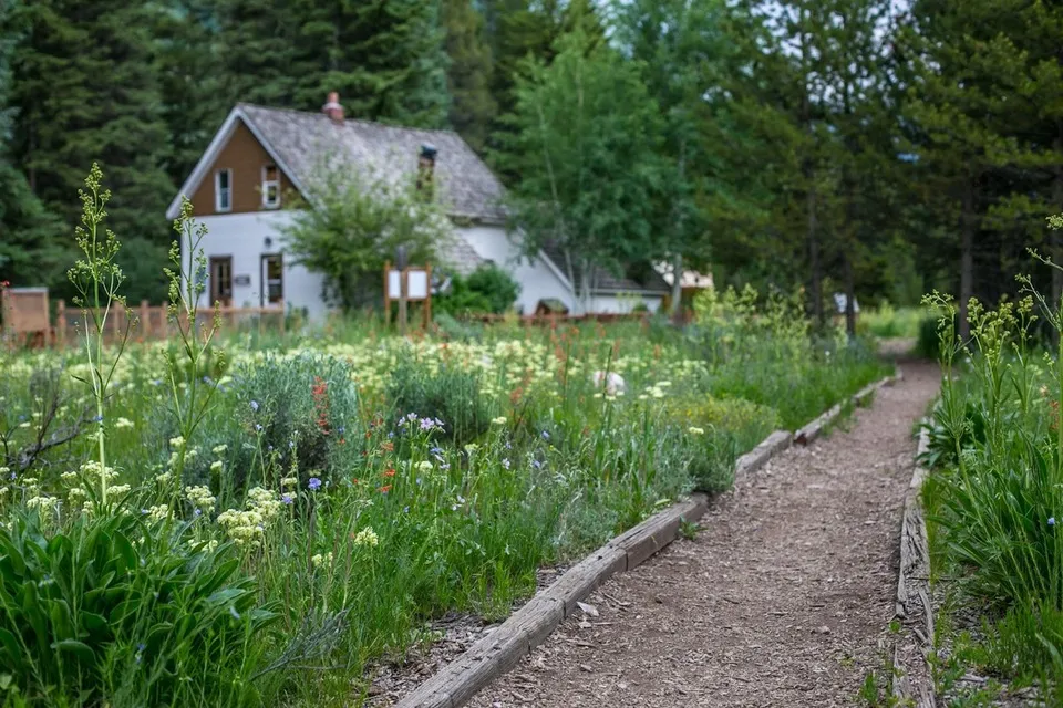 Vail Nature Center