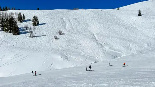 How to Get to Vail's Back Bowls: Which Chairs Serve Each Bowl