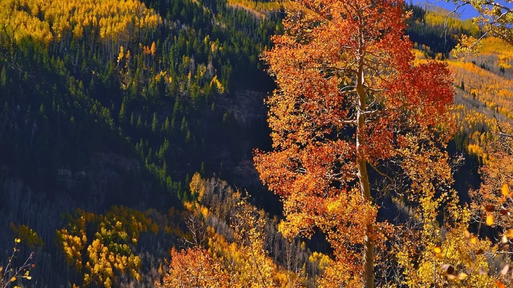 Booth Falls in Vail Colorado