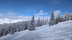 How Hard Are Vail Back Bowls